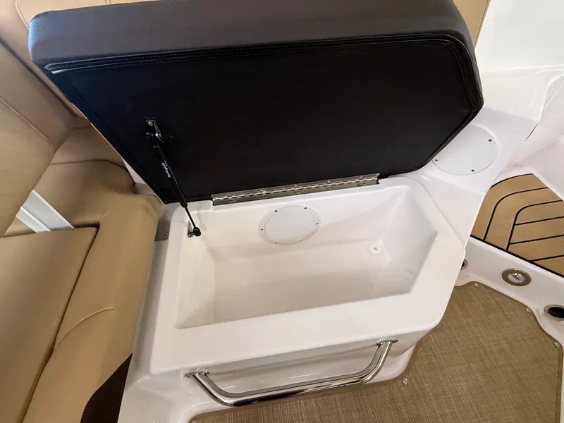 Slide: The Image of Sea Ray SDX 250 2026 - 25