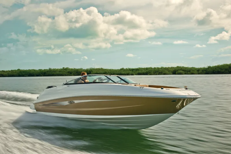 Slide: The Image of Sea Ray 240 Sundeck Outboard 2016 - 11