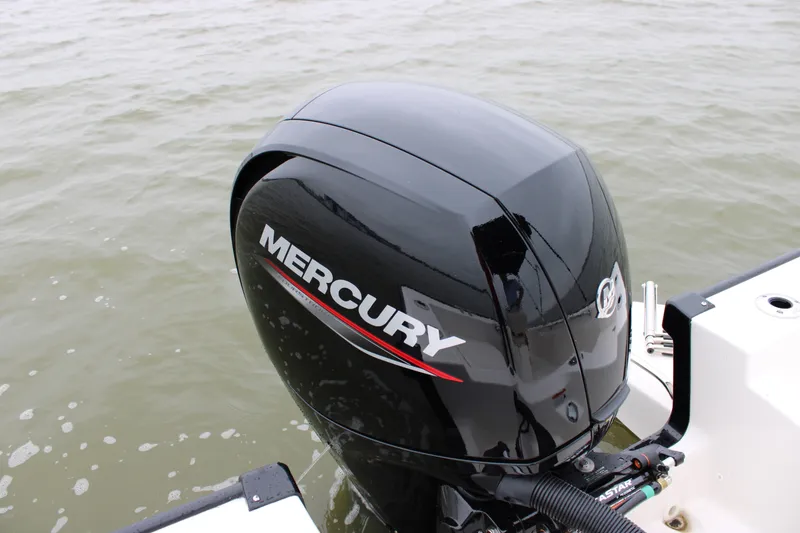 Slide: The Image of Boston Whaler 190 Montauk 2026 - 33