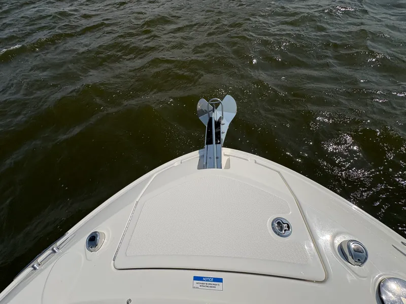 Slide: The Image of Sea Ray SLX 310 Outboard 2026 - 44