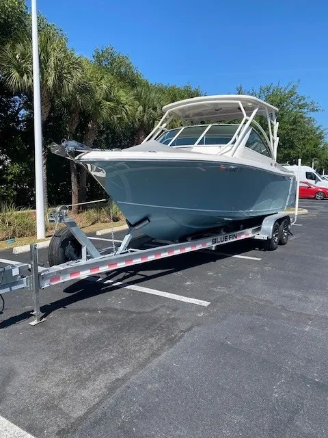 The Image of Sailfish 245 DC 2024 - 0