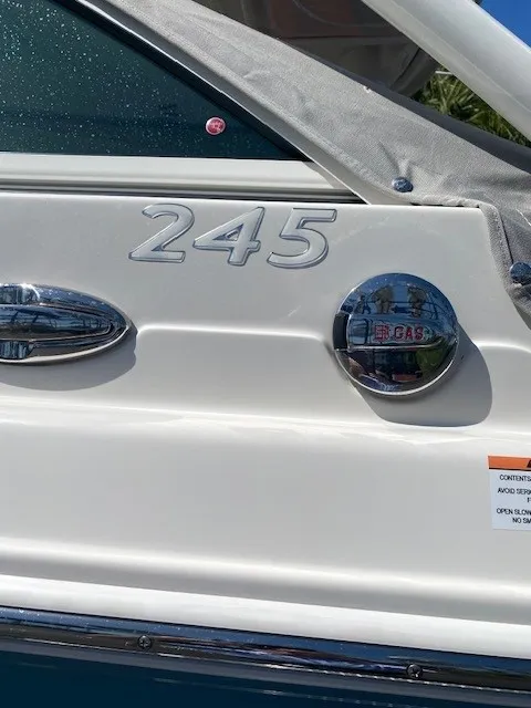 Slide: The Image of Sailfish 245 DC 2024 - 13