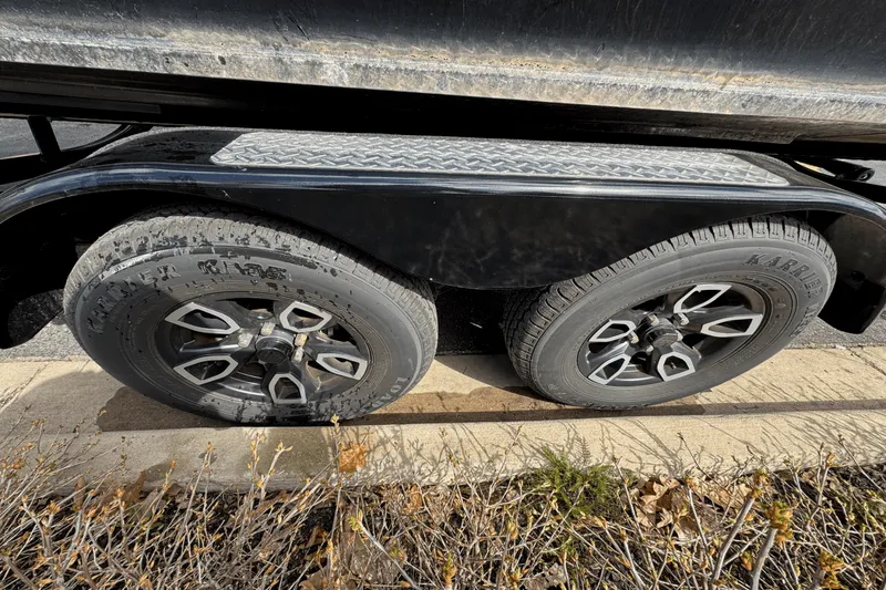 Slide: The Image of Scarab 255 ID/IMPULSE 2023 - 52