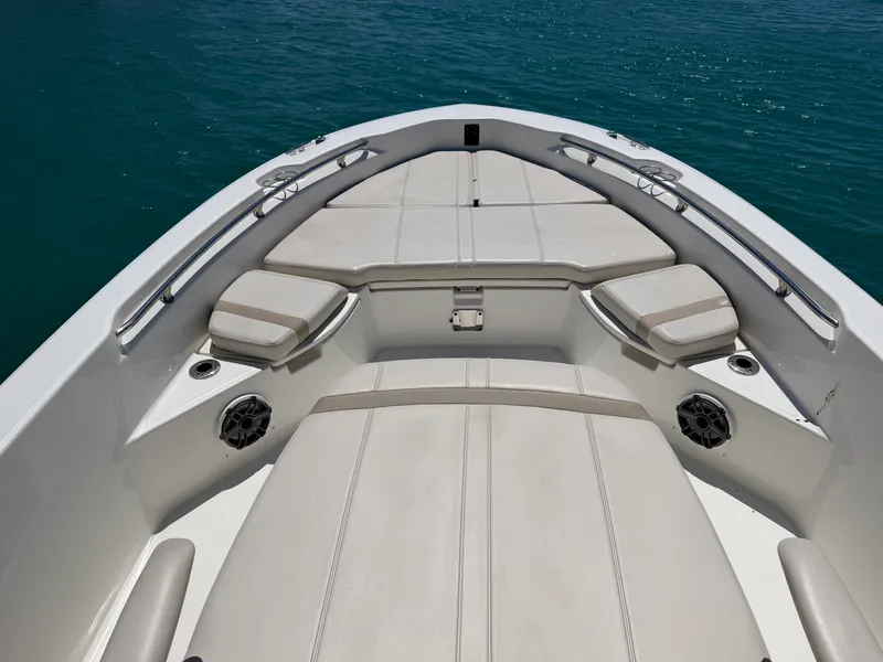 Slide: The Image of Boston Whaler 250 DAUNTLESS 2023 - 13