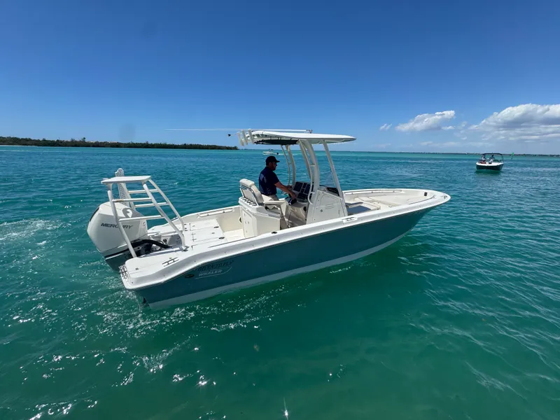 Slide: The Image of Boston Whaler 250 DAUNTLESS 2023 - 2