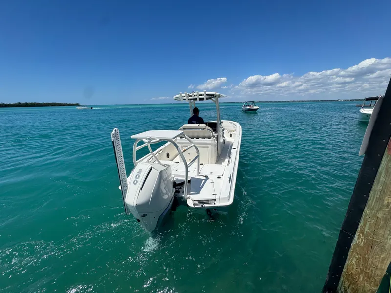 Slide: The Image of Boston Whaler 250 DAUNTLESS 2023 - 3