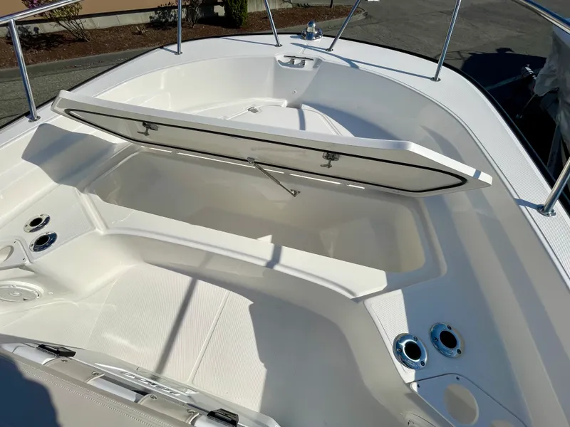 Slide: The Image of Boston Whaler 210 Montauk 2026 - 15