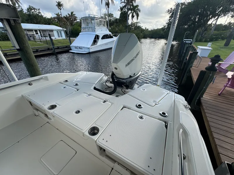Slide: The Image of Boston Whaler 250 DAUNTLESS 2024 - 11