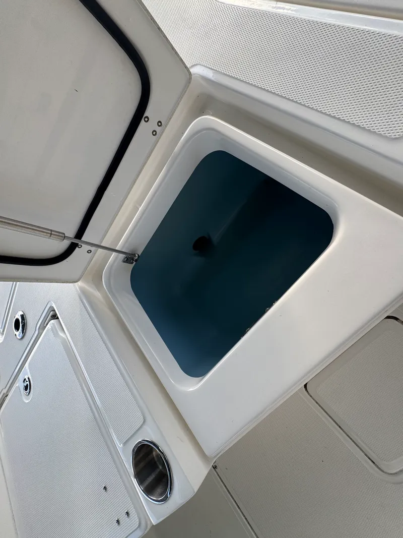 Slide: The Image of Boston Whaler 250 DAUNTLESS 2024 - 12