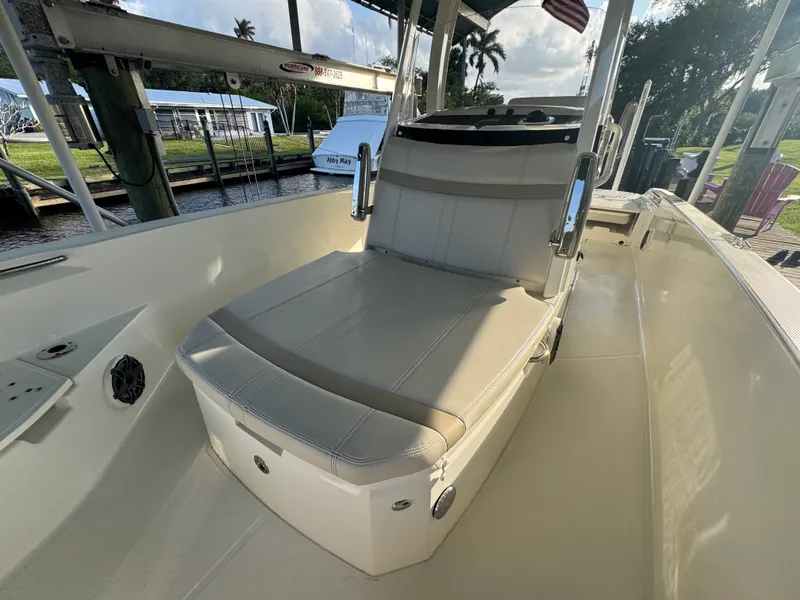Slide: The Image of Boston Whaler 250 DAUNTLESS 2024 - 17