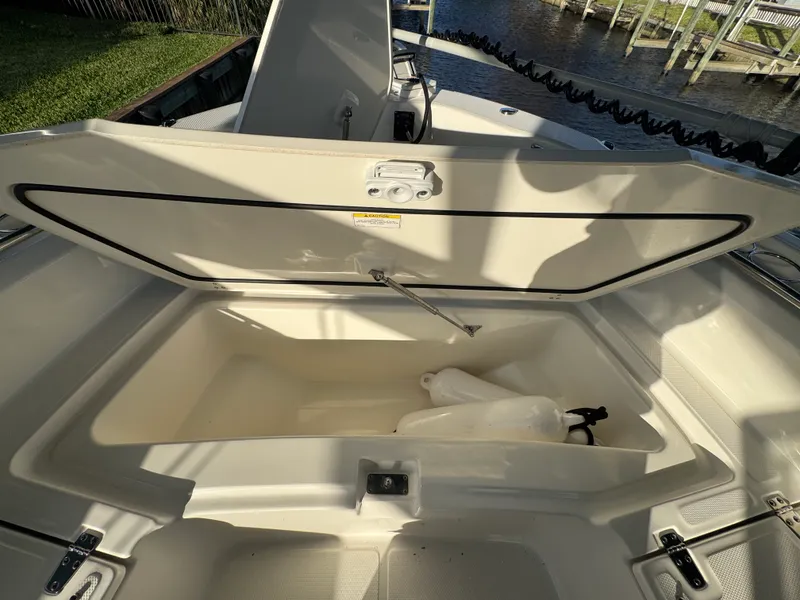 Slide: The Image of Boston Whaler 250 DAUNTLESS 2024 - 28
