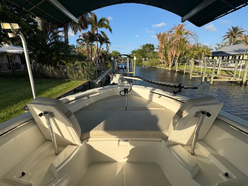 Slide: The Image of Boston Whaler 250 DAUNTLESS 2024 - 34