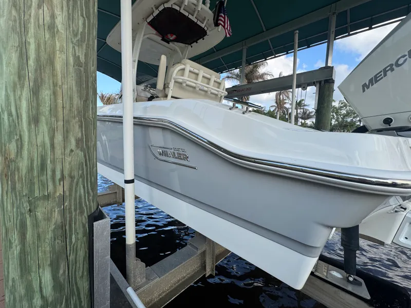 Slide: The Image of Boston Whaler 250 DAUNTLESS 2024 - 4