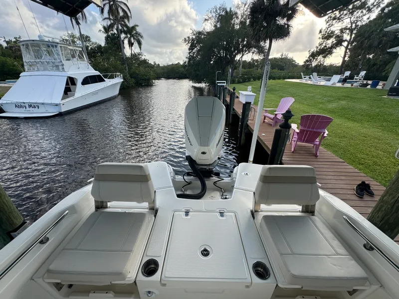 Slide: The Image of Boston Whaler 250 DAUNTLESS 2024 - 7