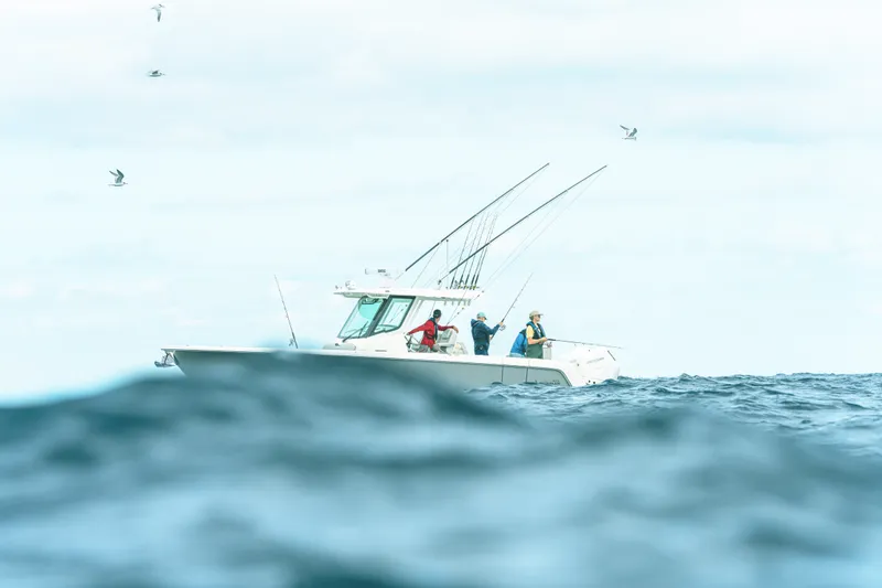 Slide: The Image of Boston Whaler 330 Outrage 2026 - 22