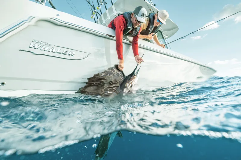 Slide: The Image of Boston Whaler 330 Outrage 2026 - 35