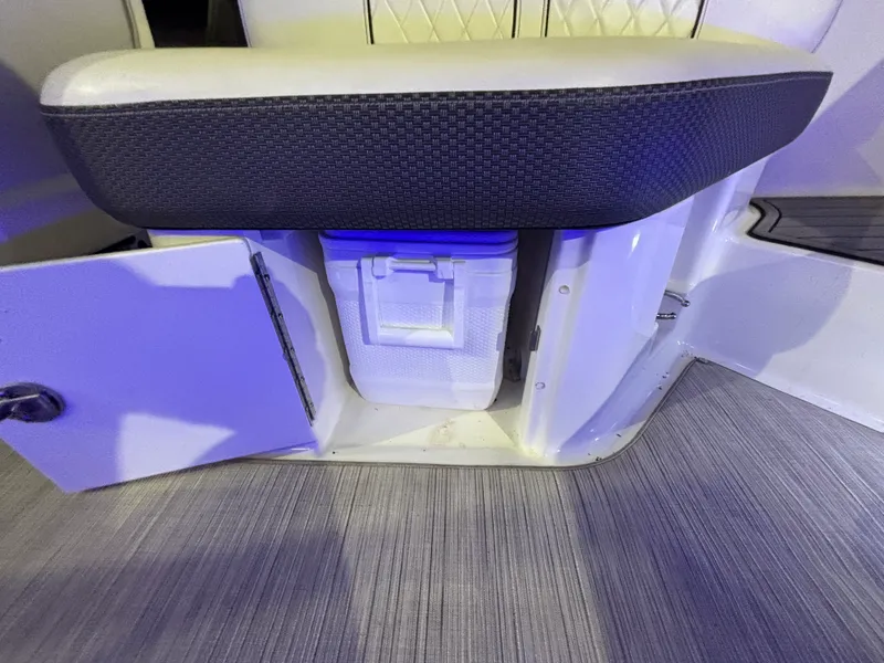 Slide: The Image of Sea Ray 230 SLX 2018 - 17