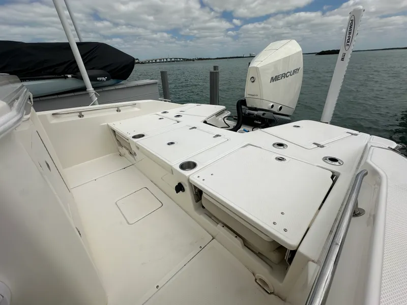 Slide: The Image of Boston Whaler 250 DAUNTLESS 2024 - 29