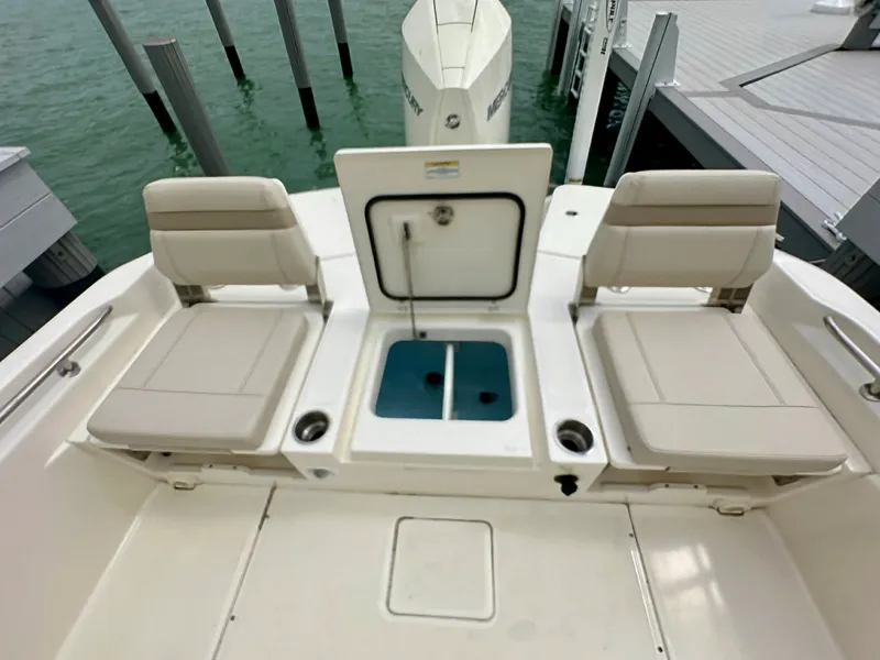 Slide: The Image of Boston Whaler 250 DAUNTLESS 2024 - 30