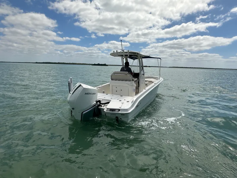 Slide: The Image of Boston Whaler 250 DAUNTLESS 2024 - 7