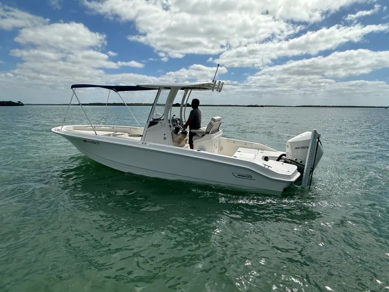 Slide: The Image of Boston Whaler 250 DAUNTLESS 2024 - 13