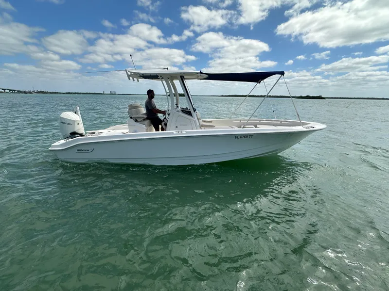 The Image of Boston Whaler 250 DAUNTLESS 2024 - 0