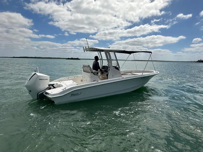 Slide: The Image of Boston Whaler 250 DAUNTLESS 2024 - 4