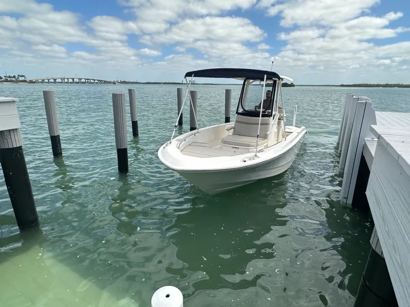 Slide: The Image of Boston Whaler 250 DAUNTLESS 2024 - 15