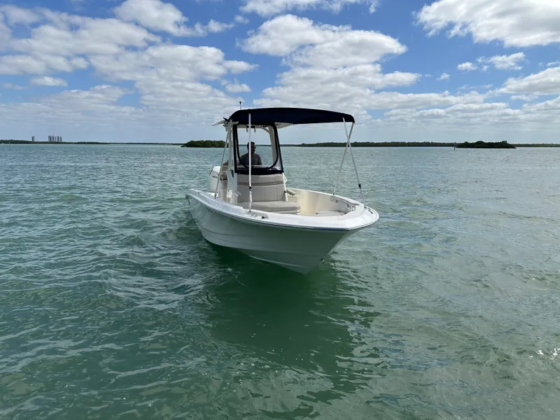 Slide: The Image of Boston Whaler 250 DAUNTLESS 2024 - 5