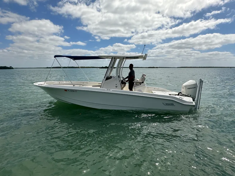Slide: The Image of Boston Whaler 250 DAUNTLESS 2024 - 12