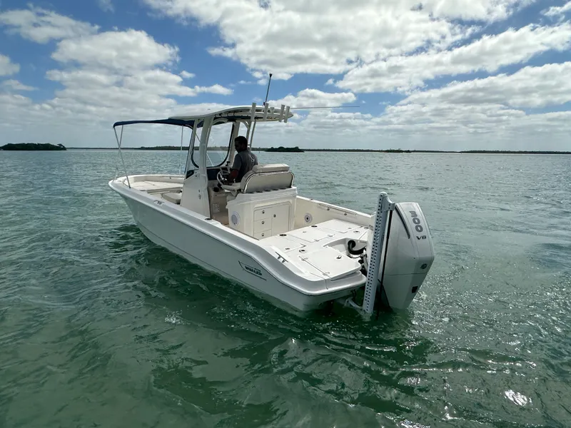 Slide: The Image of Boston Whaler 250 DAUNTLESS 2024 - 14