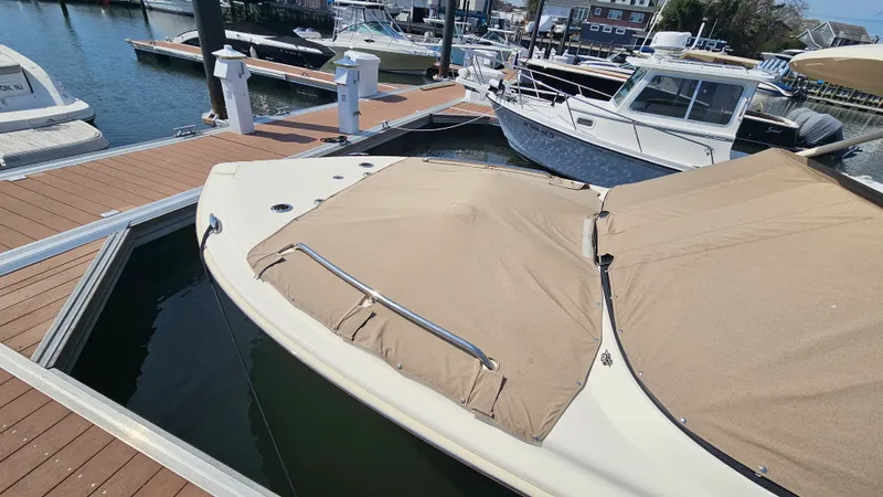 Slide: The Image of Scout 255 DORADO 2020 - 3