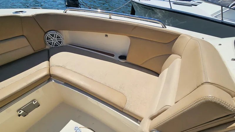 Slide: The Image of Scout 255 DORADO 2020 - 17