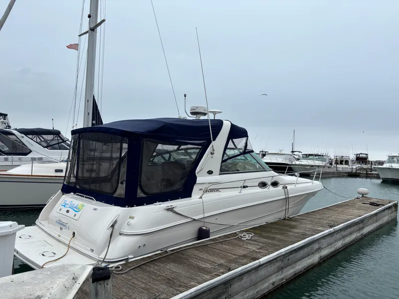 The Image of Sea Ray 310 SUNDANCER 2001 - 0