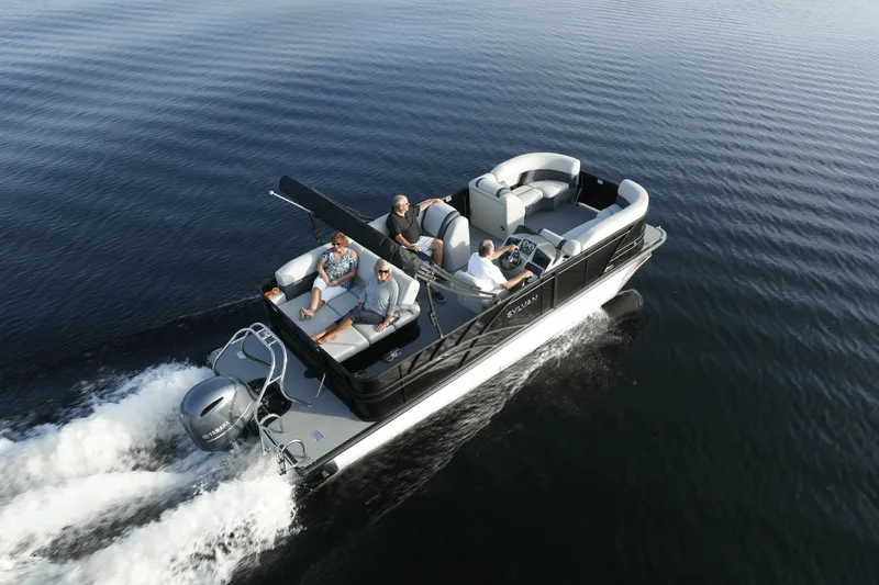 The Image of Sylvan MIRAGE 822 2025 - 0