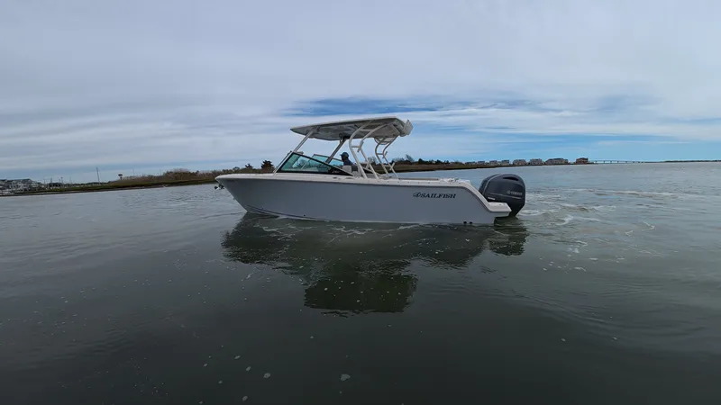 The Image of Sailfish 276 DC 2023 - 0