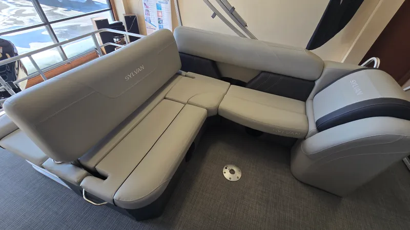 Slide: The Image of Sylvan MIRAGE 822 2025 - 12