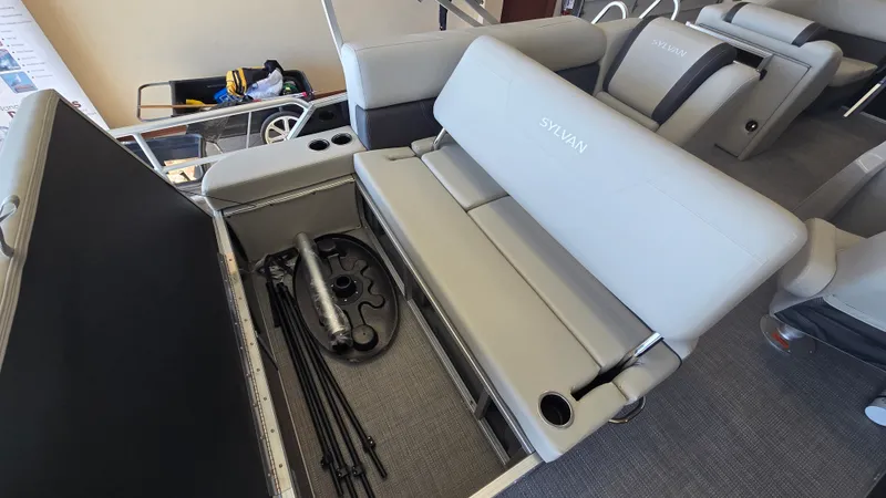 Slide: The Image of Sylvan MIRAGE 822 2025 - 14