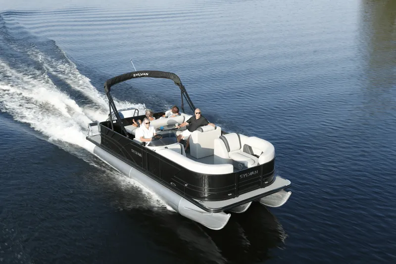 Slide: The Image of Sylvan MIRAGE 822 2025 - 18