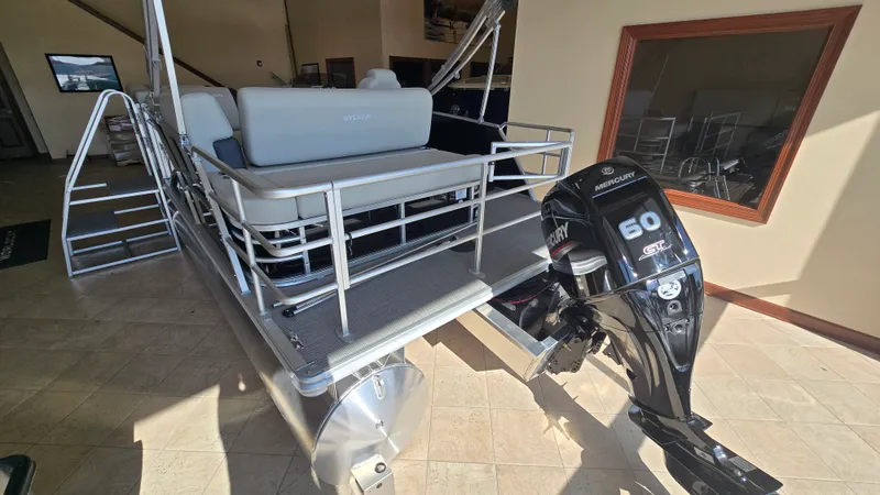 Slide: The Image of Sylvan MIRAGE 822 2025 - 6