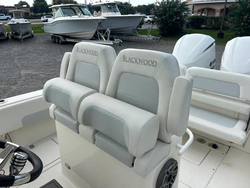 Slide: The Image of Blackwood 27 2021 - 13