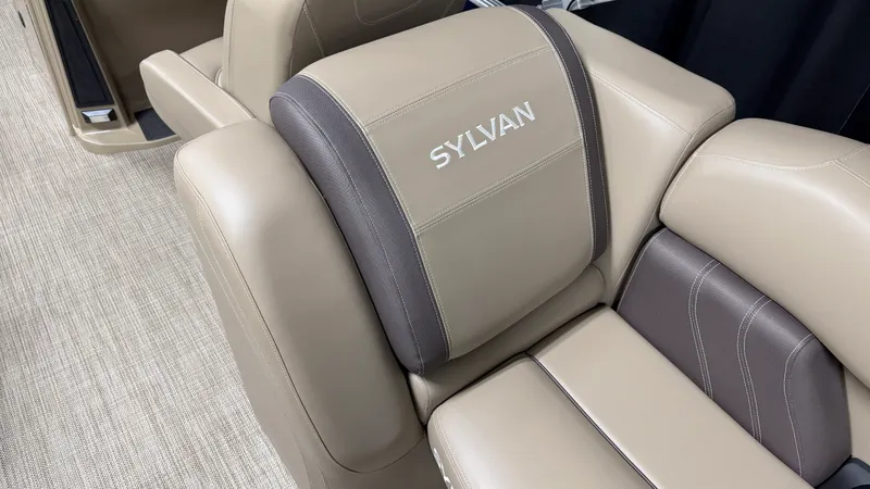 Slide: The Image of Sylvan MIRAGE 2024 - 32