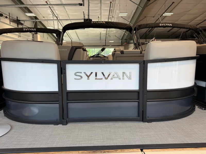 The Image of Sylvan L3 2025 - 0