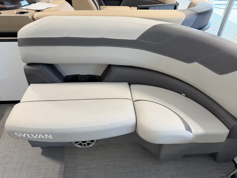 Slide: The Image of Sylvan L3 2025 - 5