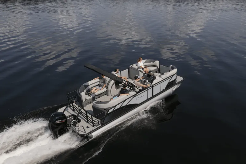 Slide: The Image of Sylvan L-3 2025 - 3