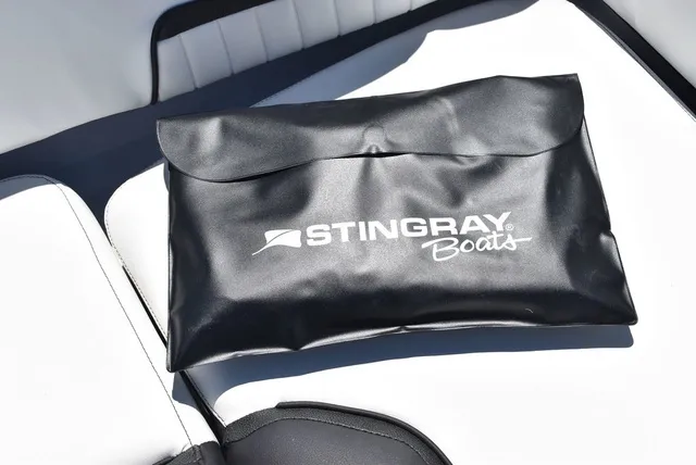 Slide: The Image of Stingray 20 SBX 2026 - 32