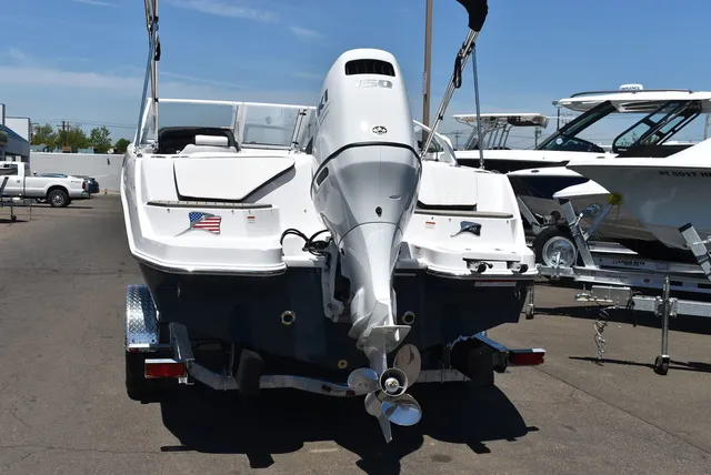 Slide: The Image of Stingray 20 SBX 2026 - 6