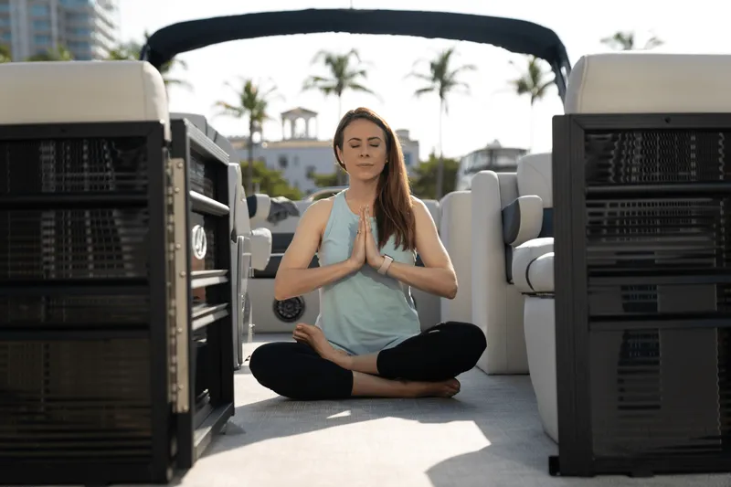 Slide: The Image of Harris Sunliner 230 2025 - 13