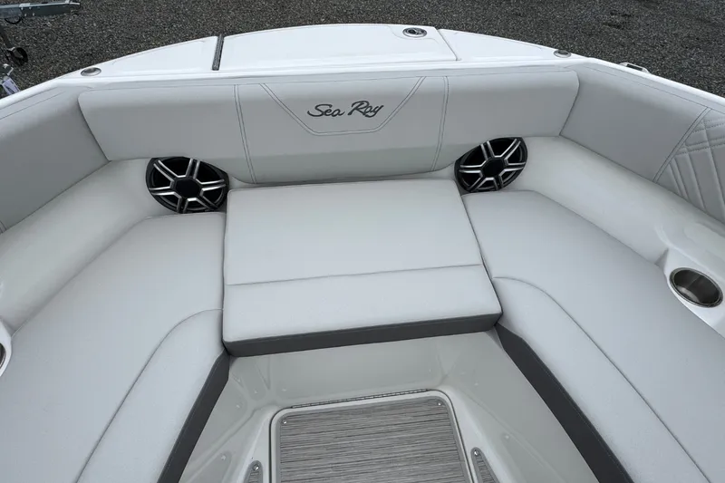 Slide: The Image of Sea Ray SDX 250 2026 - 29