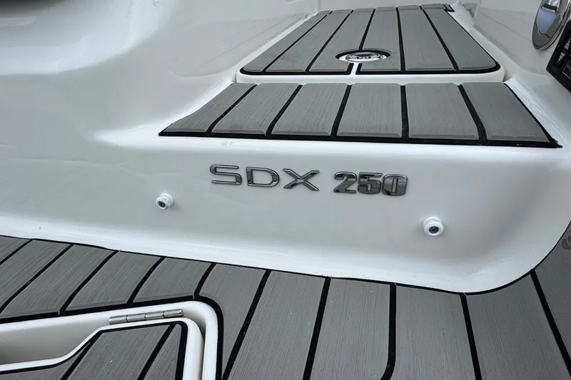 Slide: The Image of Sea Ray SDX 250 2026 - 7